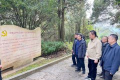 市政协副主席何卫带队到